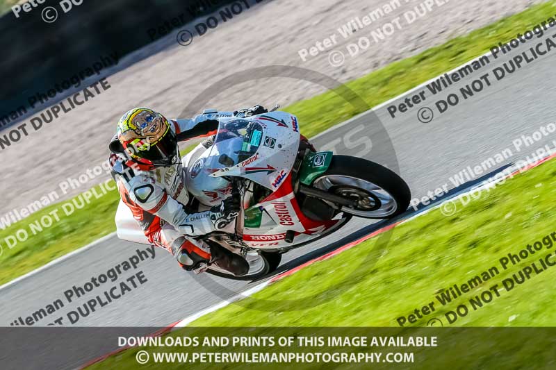 Oulton Park 20th March 2020;PJ Motorsport Photography 2020;anglesey;brands hatch;cadwell park;croft;donington park;enduro digital images;event digital images;eventdigitalimages;mallory;no limits;oulton park;peter wileman photography;racing digital images;silverstone;snetterton;trackday digital images;trackday photos;vmcc banbury run;welsh 2 day enduro